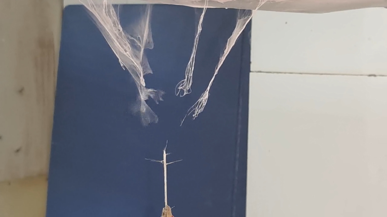 Electrospinning: Solutions of Polystyrene and Polyvinylidene Difluoride in Dimethylformamide